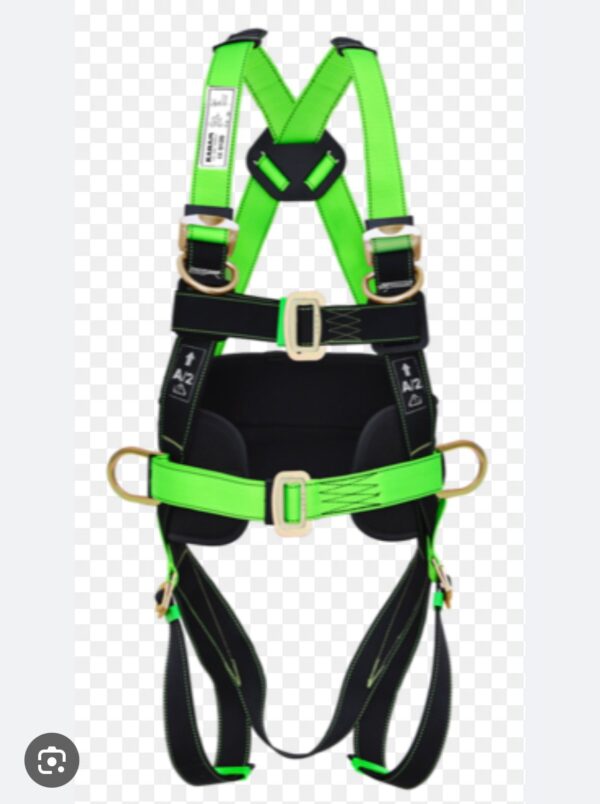 Full Body Harness